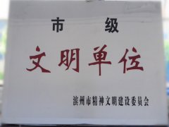 喜訊！公司榮獲“市級(jí)文明單位”稱號(hào)